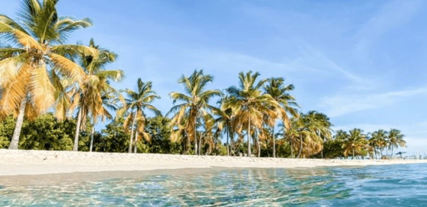 st vincent and the grenadines