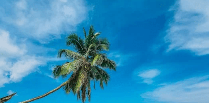 st vincent and the grenadines